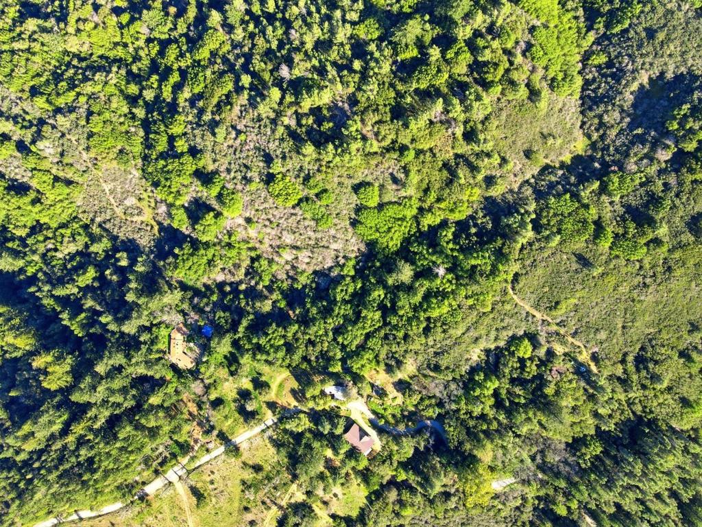 24733 Loma Prieta Avenue