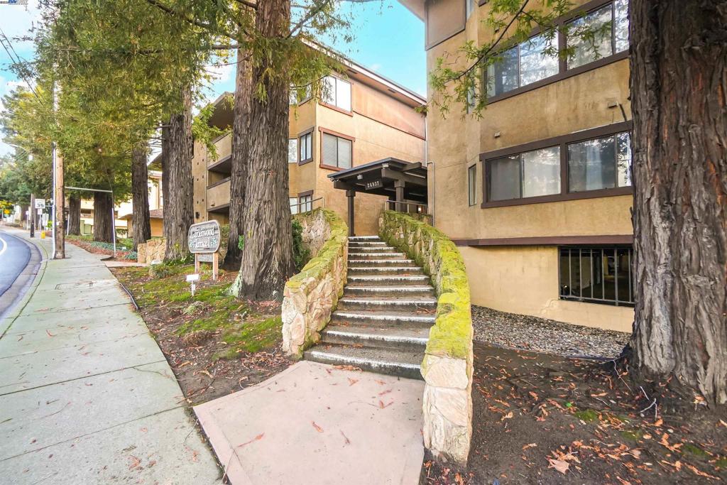 HAYWARD HILLS - Residential