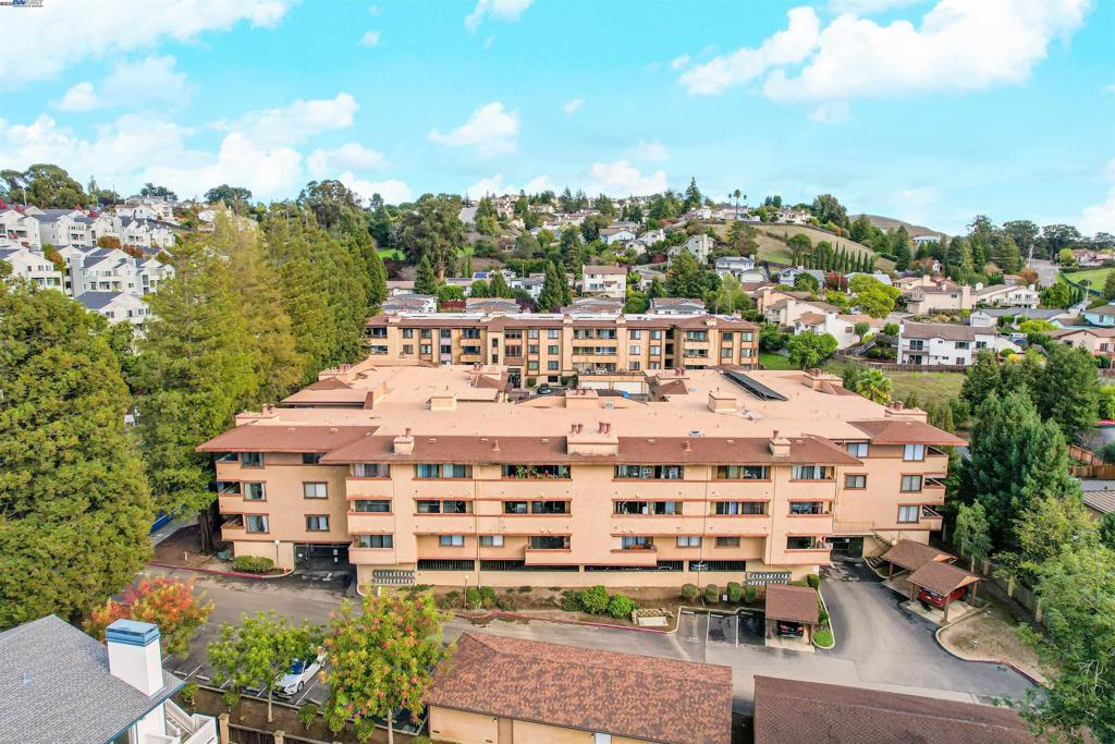 HAYWARD HILLS - Residential