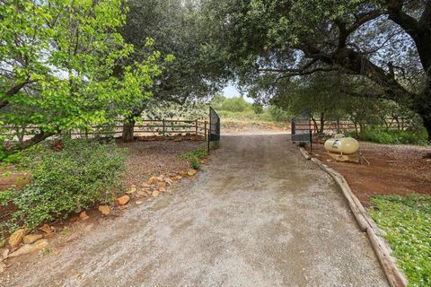 Photo of 23855 Japatul Valley Road, Alpine, CA 91901 (MLS # PTP2603253)