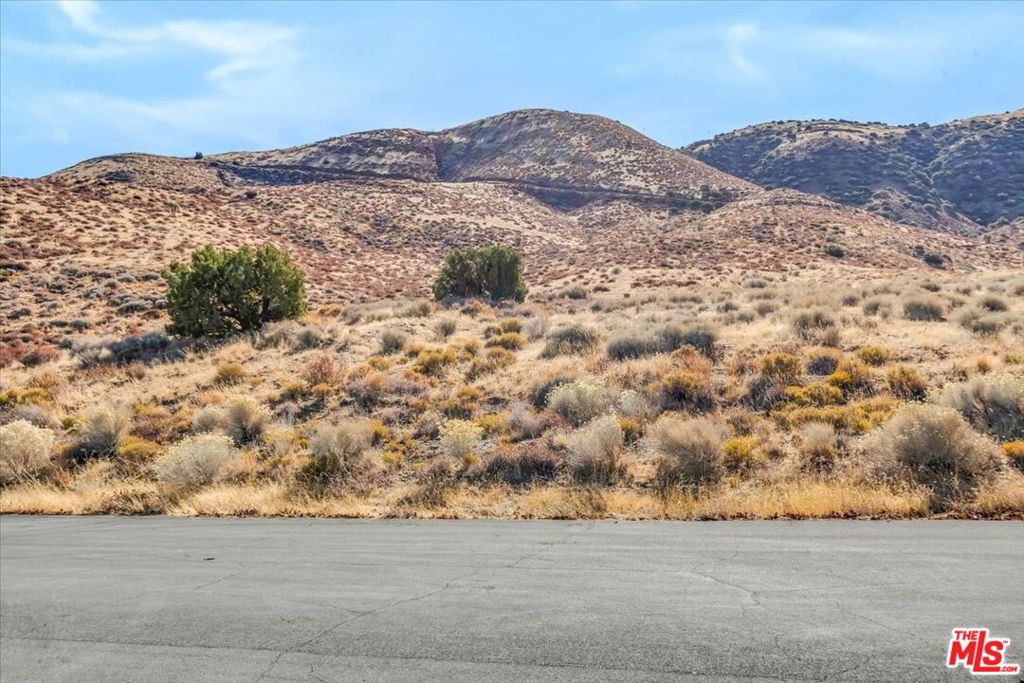 Mark Twain famously said "Buy land, they're not making it anymore." Now is your chance to own five acres in the much sought-after area in Palmdale known as the Ana Verde Hills. Bring your vision to life and build the dream home you've always imagined. Surrounded by luxury estate homes, and stellar views of Lake Palmdale, California Aquaduct, and the vast valley below. Geotechnical & Geologic Hazards Reports/Preliminary report completed in 2018. Private road access. Easement granted by owner of adjacent lot.