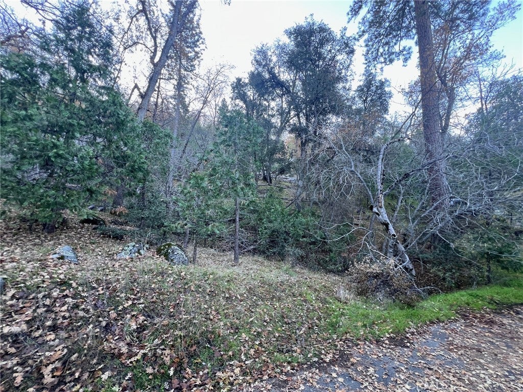 0 Snowy Creek Way