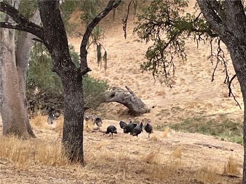 Tiny photo for 5003 Pretty Doe Ln, Paso Robles, CA 93446 (MLS # NS25238379)