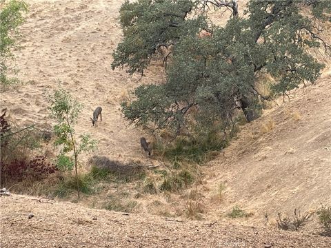 Tiny photo for 5003 Pretty Doe Ln, Paso Robles, CA 93446 (MLS # NS25238379)