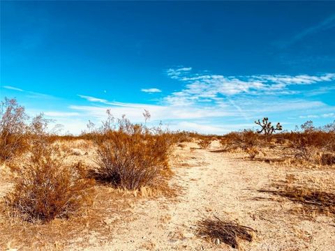 Photo of 135 E 135 ST E Avenue, Pearblossom, CA 93553 (MLS # SR25161101) Photo of 135 E 135 ST E Avenue, Pearblossom, CA 93553 (MLS # SR25161101)