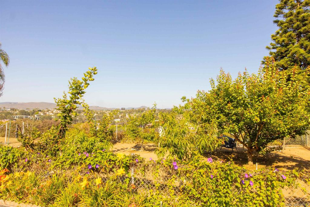 Encinitas - Residential