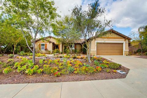 Photo of 352 Tom McGuinness Jr Circle, Fallbrook, CA 92028 (MLS # NDP2603984)