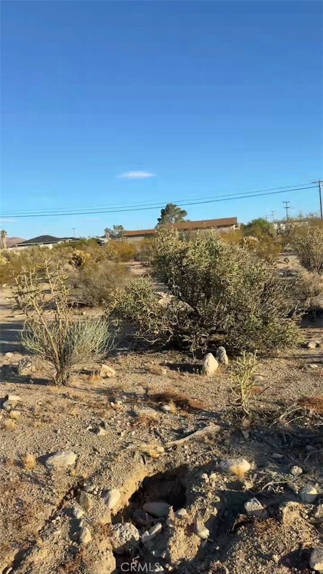 1 Baseline