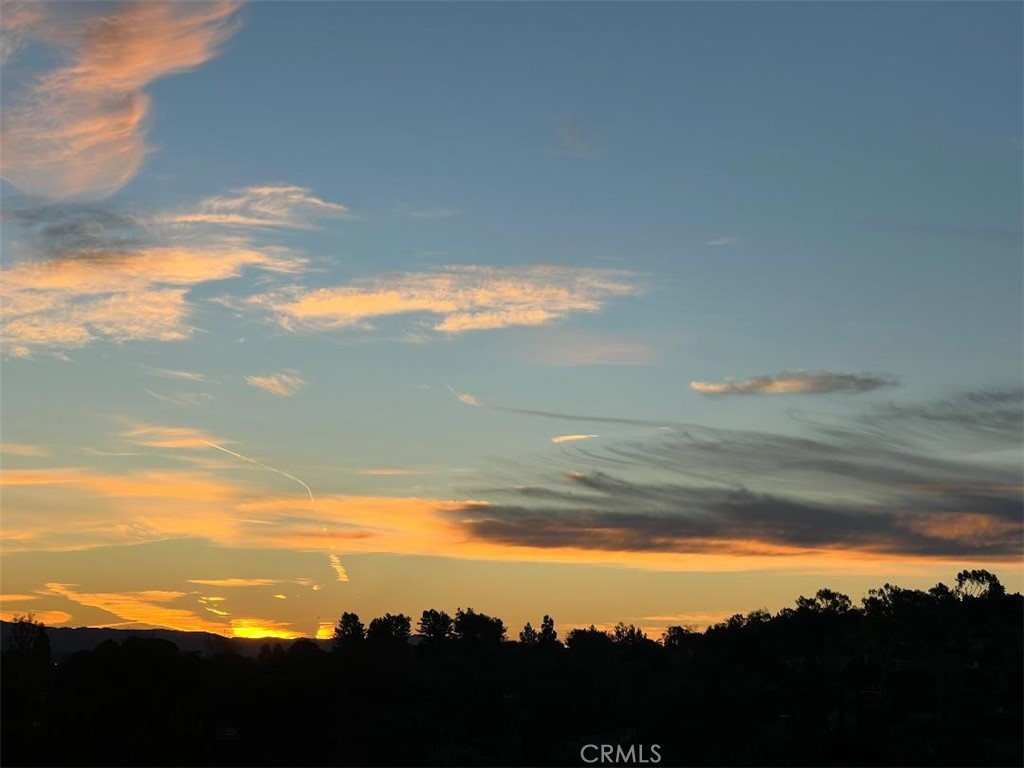 24055 Paseo Del Lago #1257