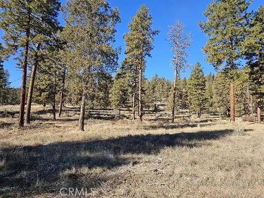 ADDRESS PRIVATE, DORRIS, CA 96023 - Image 4d3cbfc8d9a666db623d05dc1a33c487/2356594523