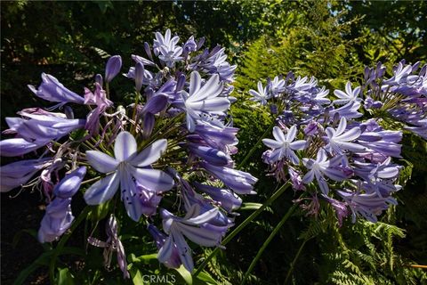 Tiny photo for 2310 Oak Haven Lane, Arroyo Grande, CA 93420 (MLS # PI26086445)