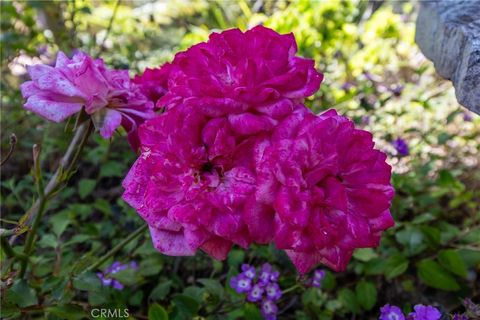 Tiny photo for 2310 Oak Haven Lane, Arroyo Grande, CA 93420 (MLS # PI26086445)