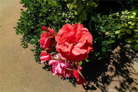 Tiny photo for 2310 Oak Haven Lane, Arroyo Grande, CA 93420 (MLS # PI26086445)