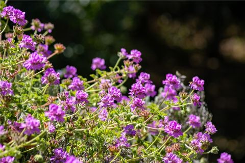 Tiny photo for 2310 Oak Haven Lane, Arroyo Grande, CA 93420 (MLS # PI26086445)