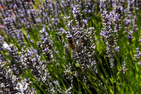 Tiny photo for 2310 Oak Haven Lane, Arroyo Grande, CA 93420 (MLS # PI26086445)