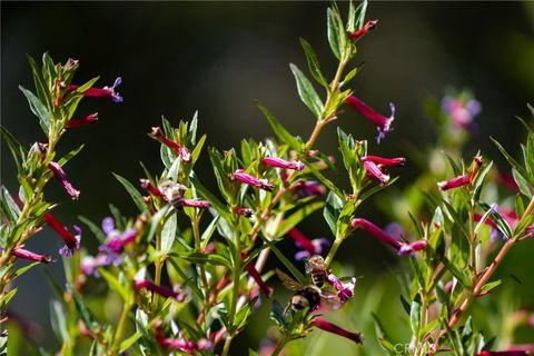 Tiny photo for 2310 Oak Haven Lane, Arroyo Grande, CA 93420 (MLS # PI26086445)