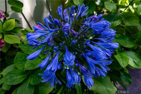 Tiny photo for 2310 Oak Haven Lane, Arroyo Grande, CA 93420 (MLS # PI26086445)