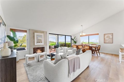 22779 Mariano Drive Laguna Niguel CA 92677