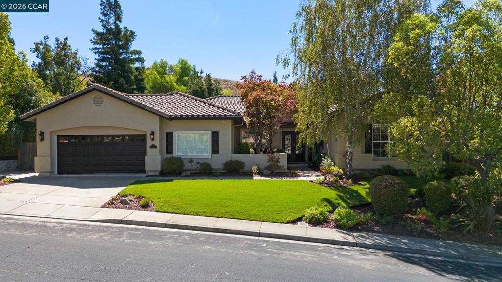 110 Forest Hill Dr