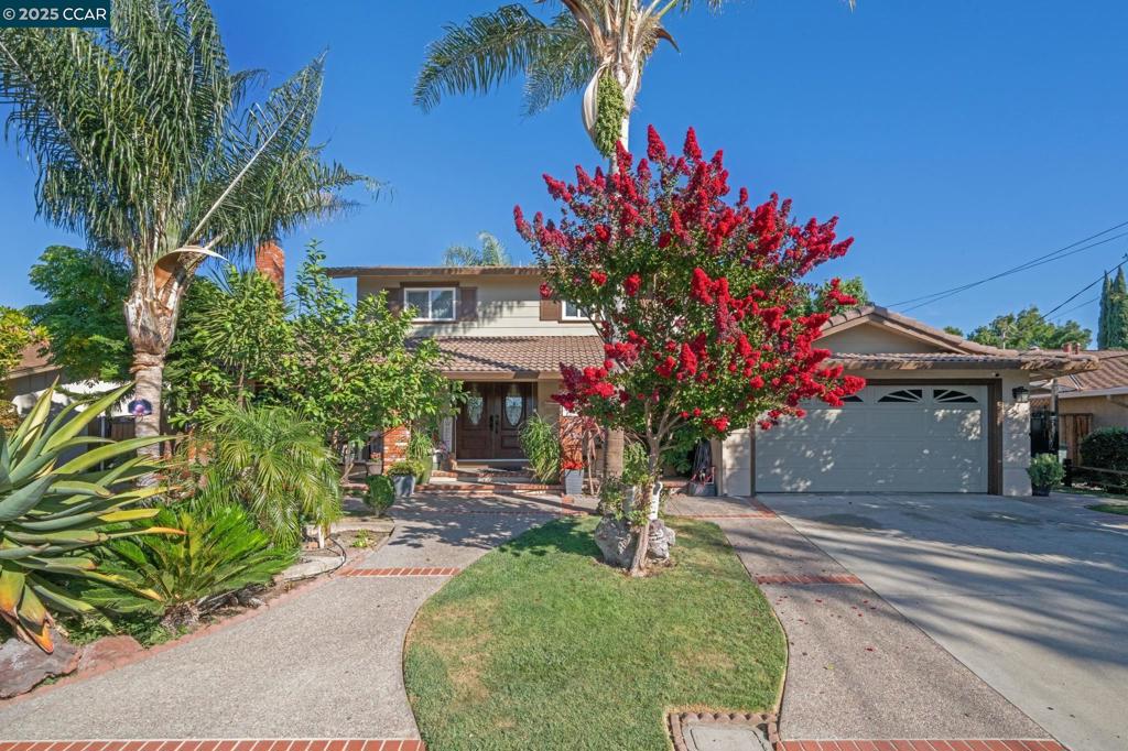 Welcome to 3718 Northpark Ct – Updated Comfort in the Heart of Dana Estates! After 20 years in the same family, this beautifully maintained 4 bed, 3 bath home is ready for its next chapter. Located on a quiet cul-de-sac in the desirable Dana Estates neighborhood of Concord, this two-story gem sits on a spacious 8,400 sq ft lot. Inside, enjoy thoughtful updates including brand-new flooring, fresh paint throughout, and remodeled bathrooms. The versatile layout offers 1,911 sq ft of living space, with a full bedroom and bathroom on the main level—perfect for guests, in-laws, or a home office. Step into the backyard and you'll find a peaceful retreat with mature fruit trees and plenty of space to entertain or garden. A 2-car garage and close proximity to top-rated schools, parks, and shopping make this home as convenient as it is charming. Don’t miss your chance to own in one of Concord’s most sought-after neighborhoods!