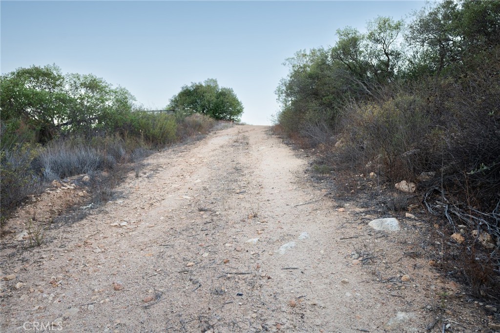 6 Vista Del Bosque