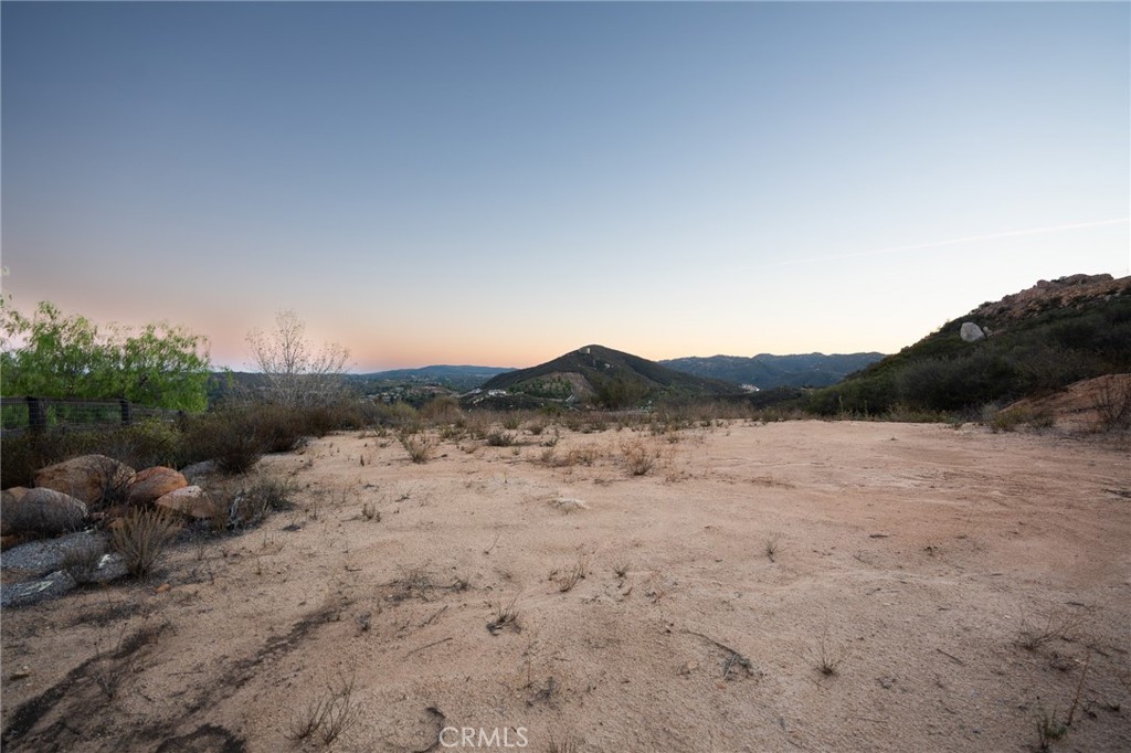 6 Vista Del Bosque
