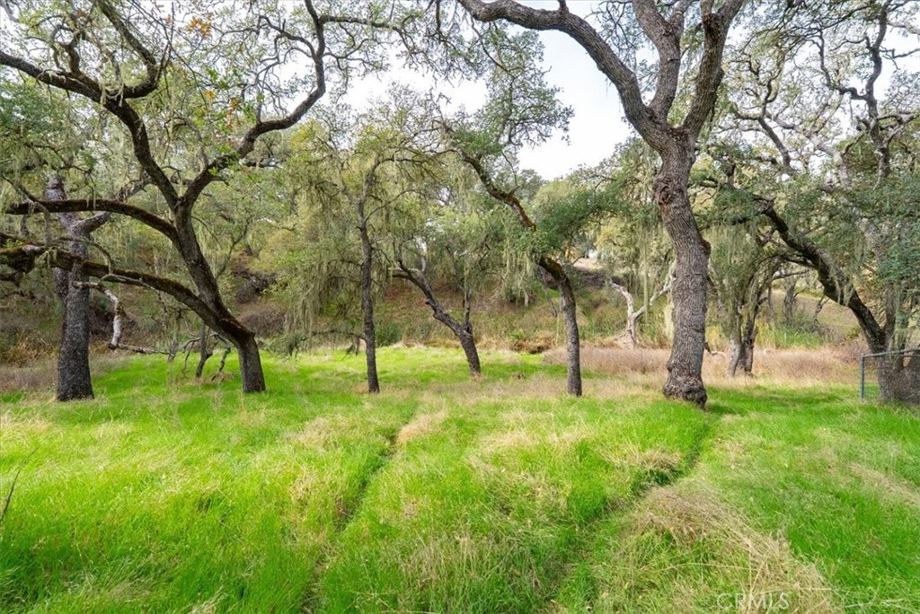 Spanish Camp - Residential