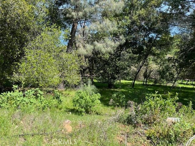 8444 Soda Bay Road