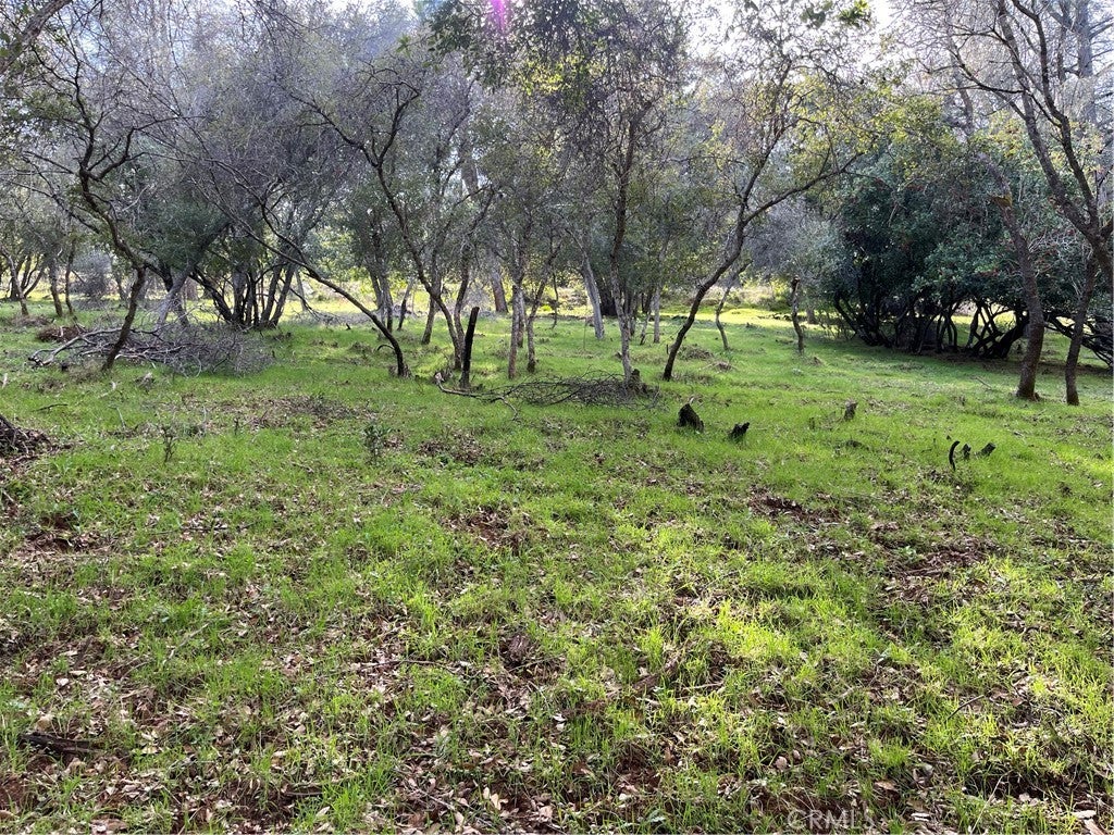 8444 Soda Bay Road