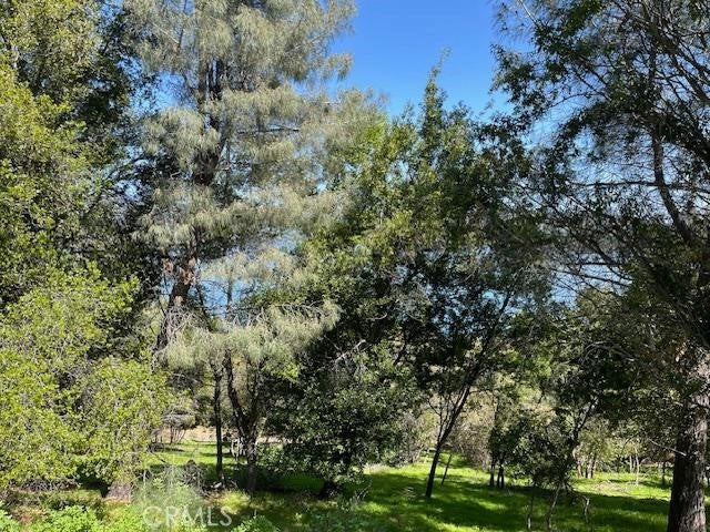 8444 Soda Bay Road
