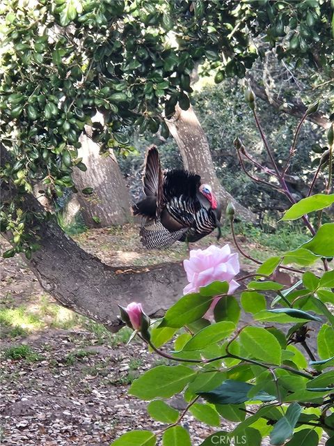 Tiny photo for 2 Paseo Ladera Ln, Pismo Beach, CA 93449 (MLS # PI26071944)