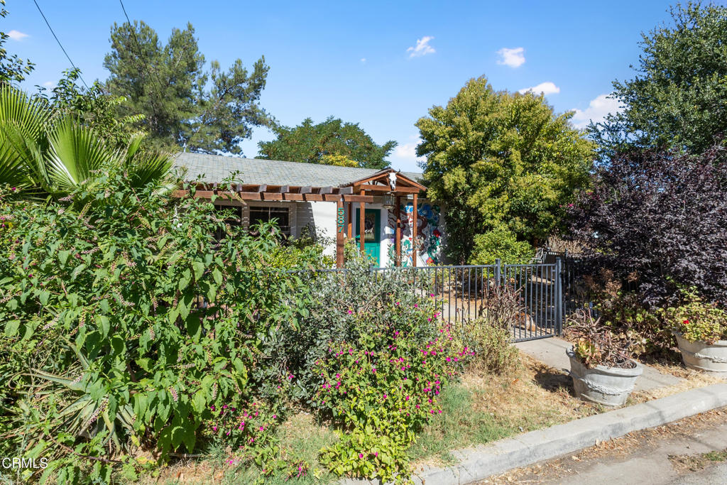 587 Vine Street