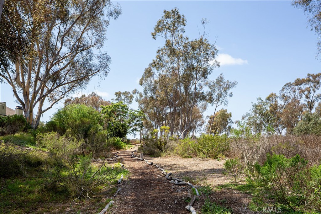 Newport Terrace (NEWT) - Residential