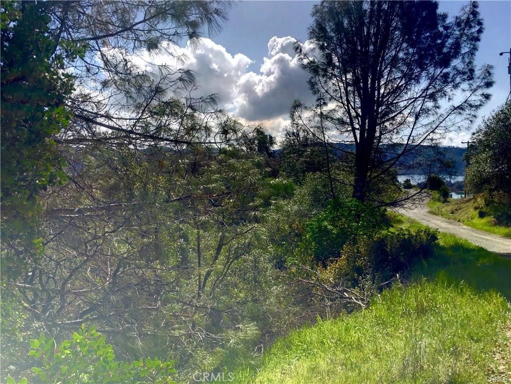 12225 Mount View Drive