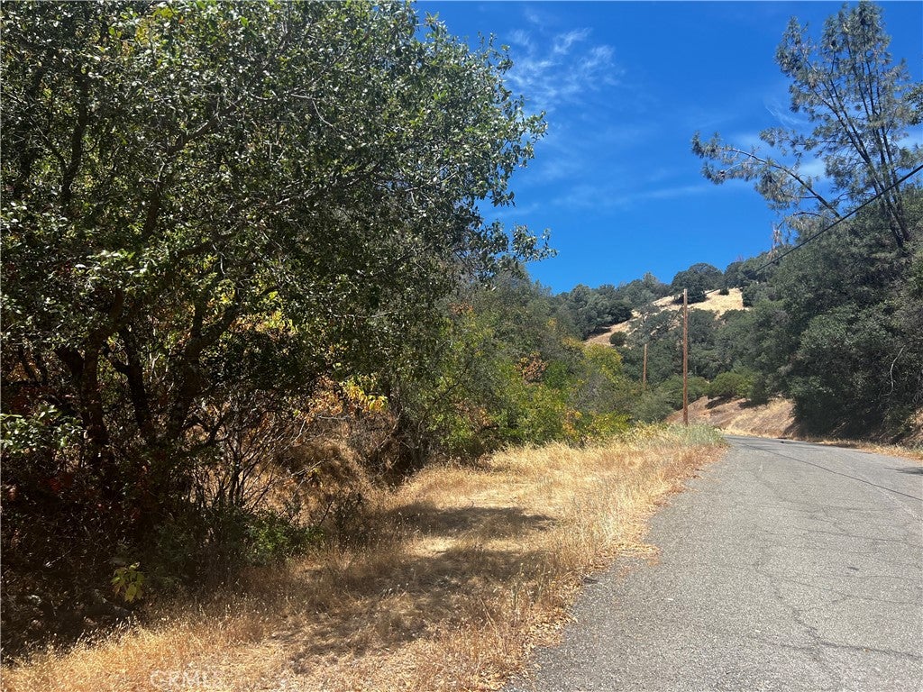 12225 Mount View Drive