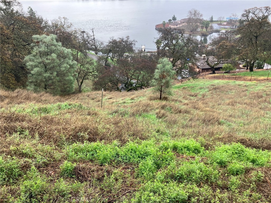 12039 Lakeview