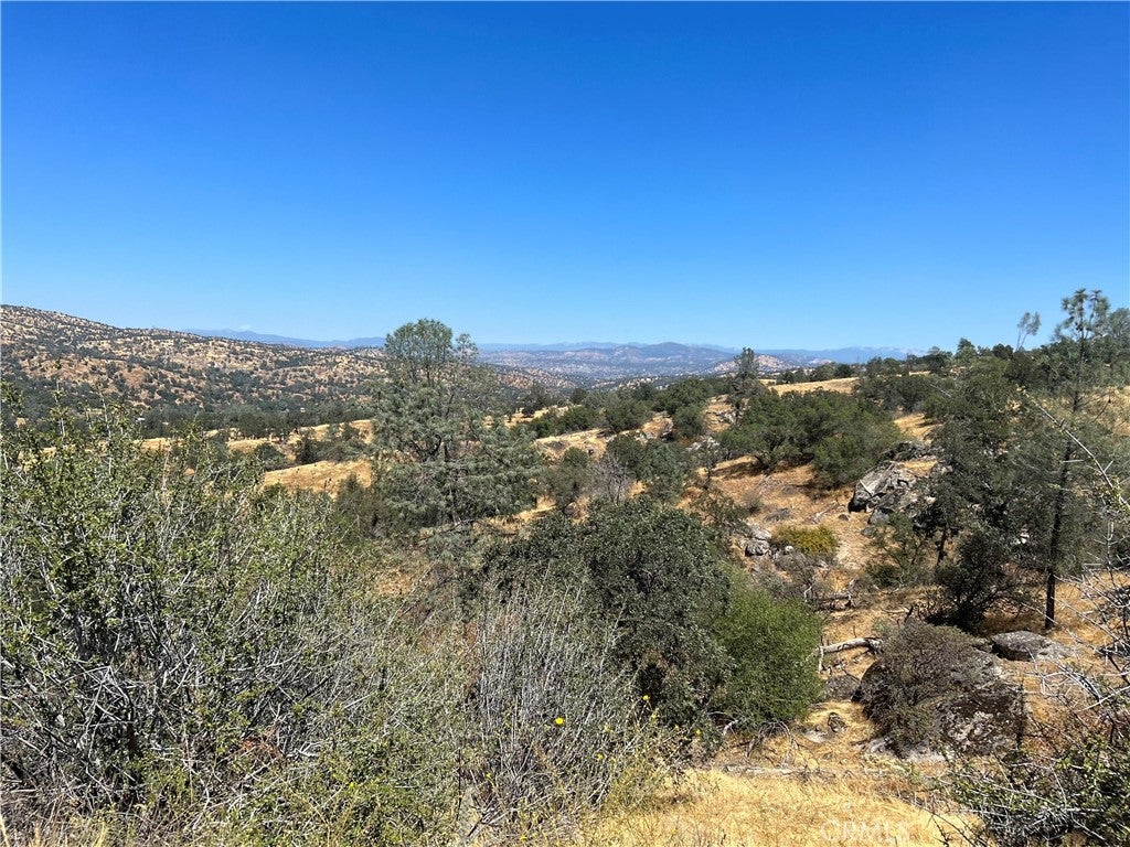 1572 Lot # Lilley Mountain