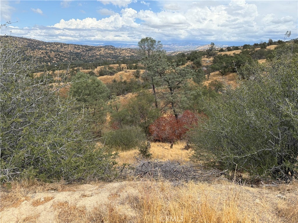 1572 Lot # Lilley Mountain