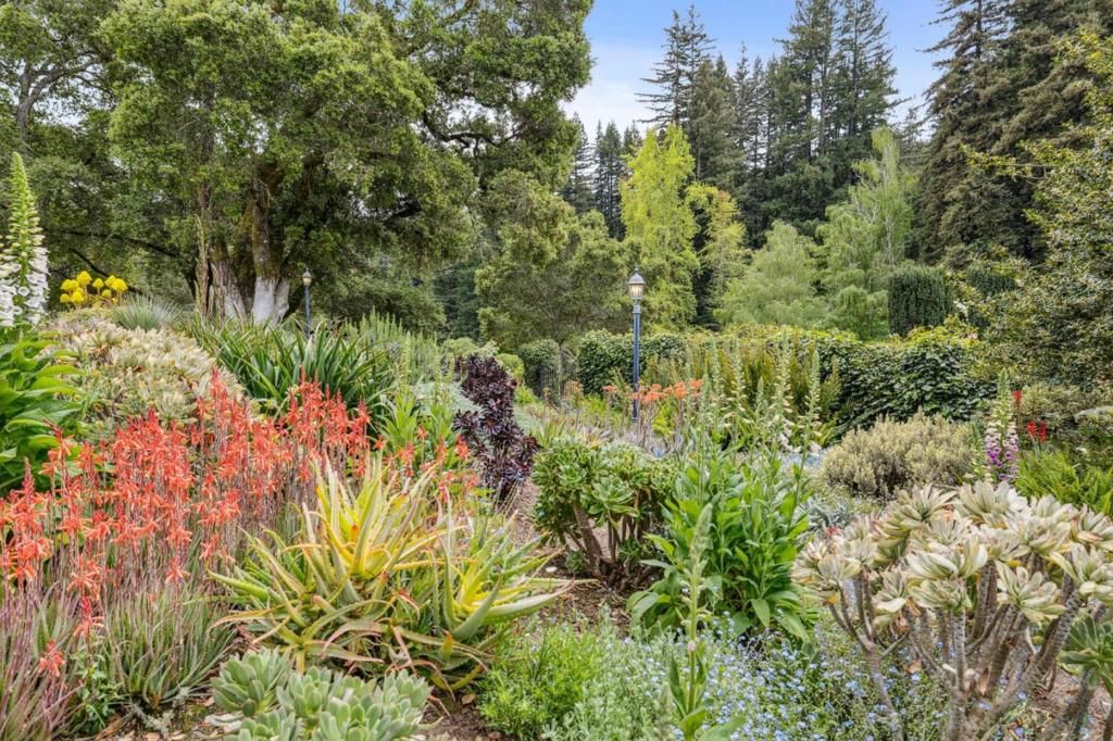 listing image 130720602054222556872