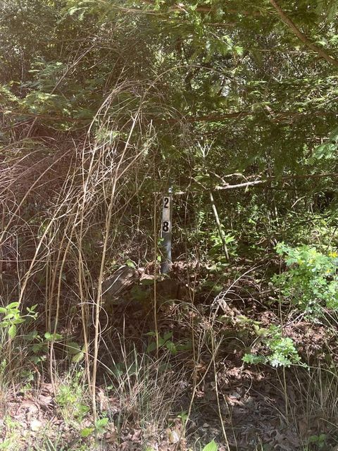 Photo of Los Gatos, CA 95033 (MLS # ML82041164)