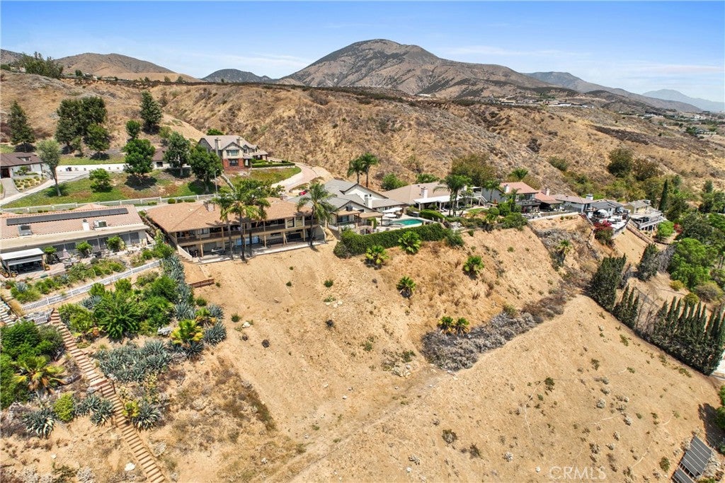 2421 Willow