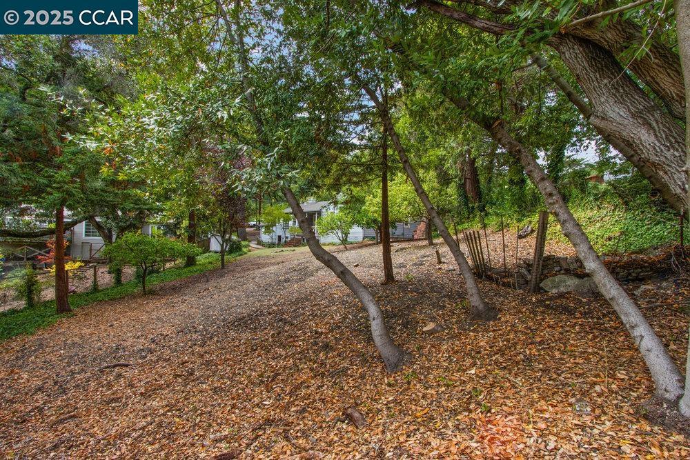 ORINDA PARK - Residential