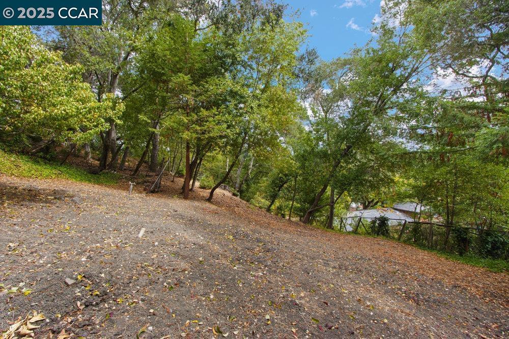 ORINDA PARK - Residential