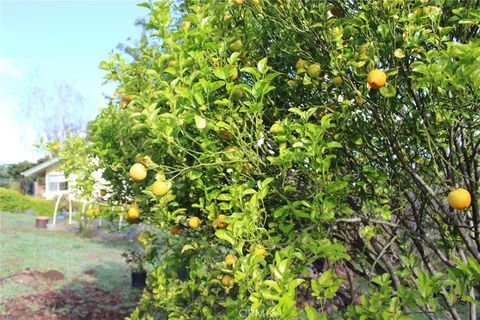 Tiny photo for 1909 Pineridge Dr, Cambria, CA 93428 (MLS # SC26045846)