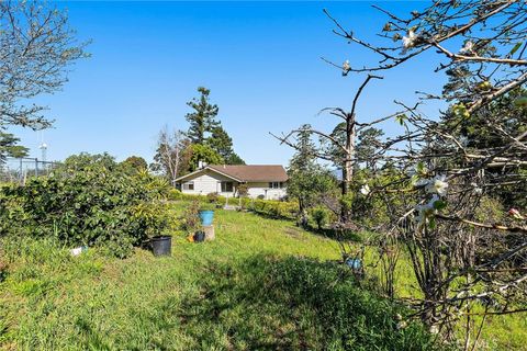 Tiny photo for 1909 Pineridge Dr, Cambria, CA 93428 (MLS # SC26045846)