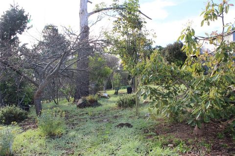 Tiny photo for 1909 Pineridge Dr, Cambria, CA 93428 (MLS # SC26045846)