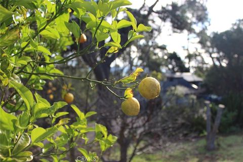 Tiny photo for 1909 Pineridge Dr, Cambria, CA 93428 (MLS # SC26045846)