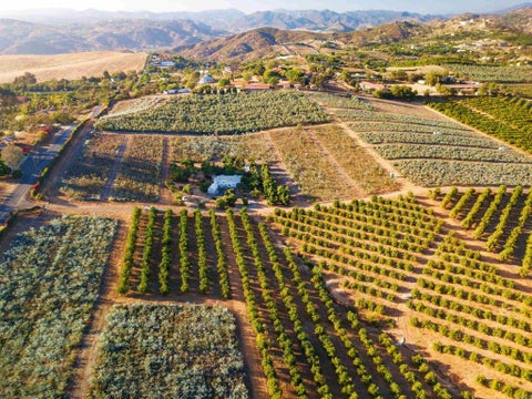 Photo of 31817 Via Ararat Drive, Bonsall, CA 92003 (MLS # NDP2607250)
