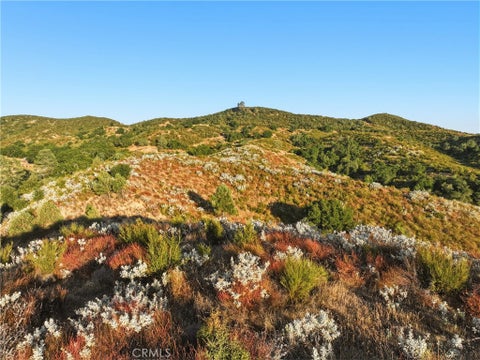 Tiny photo for 5885 Lion Ridge RD, Creston, CA 93432 (MLS # PI26138201)