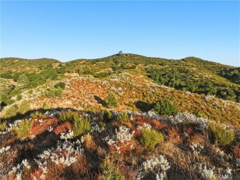 Tiny photo for 5885 Lion Ridge RD, Creston, CA 93432 (MLS # PI26138201)
